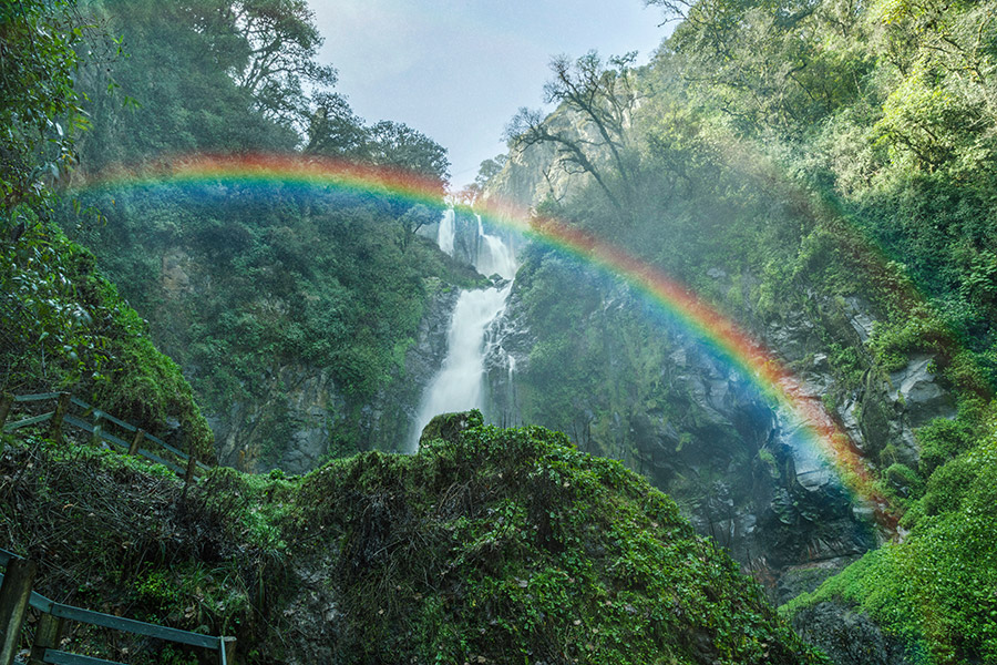 tn-rainbow-nature Rainbows in Nature